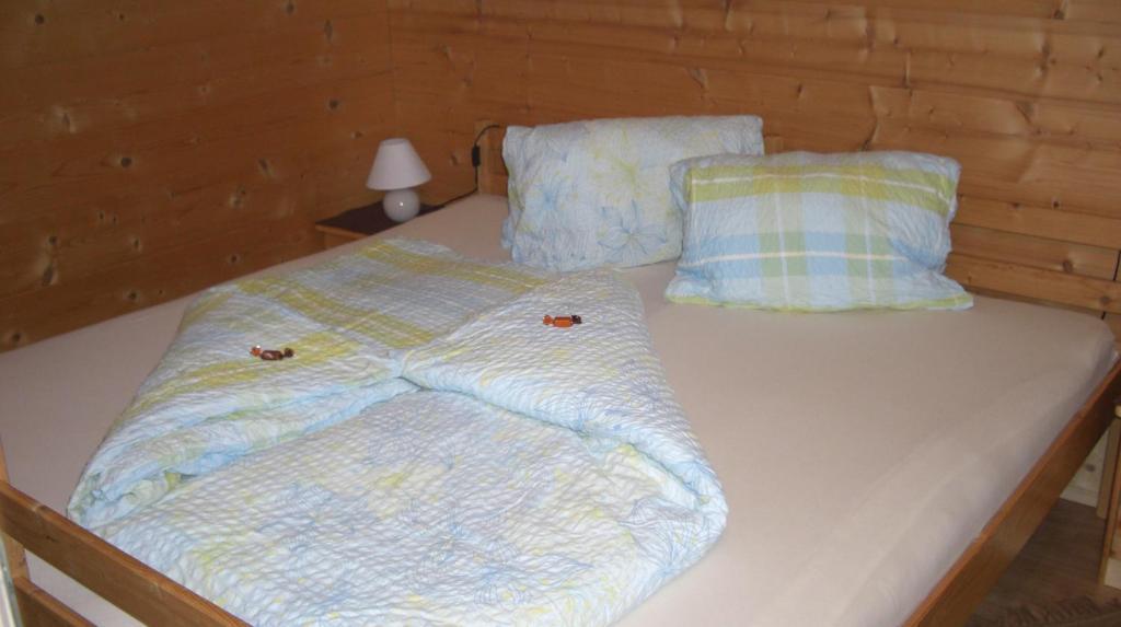 Appartement Leirer アルプバッハ 部屋 写真